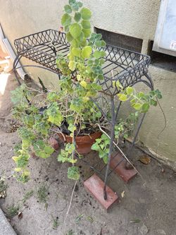 Metal plant stand…$5.00