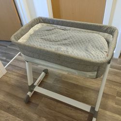 Bassinet And Snuggle Me Pillow