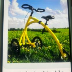 Alinker Walking Bike