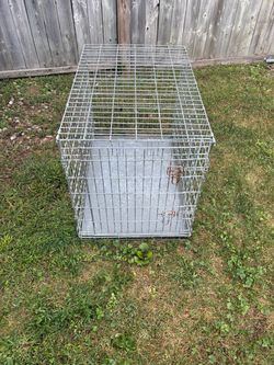 Dog cage