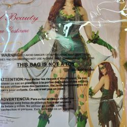 Costume