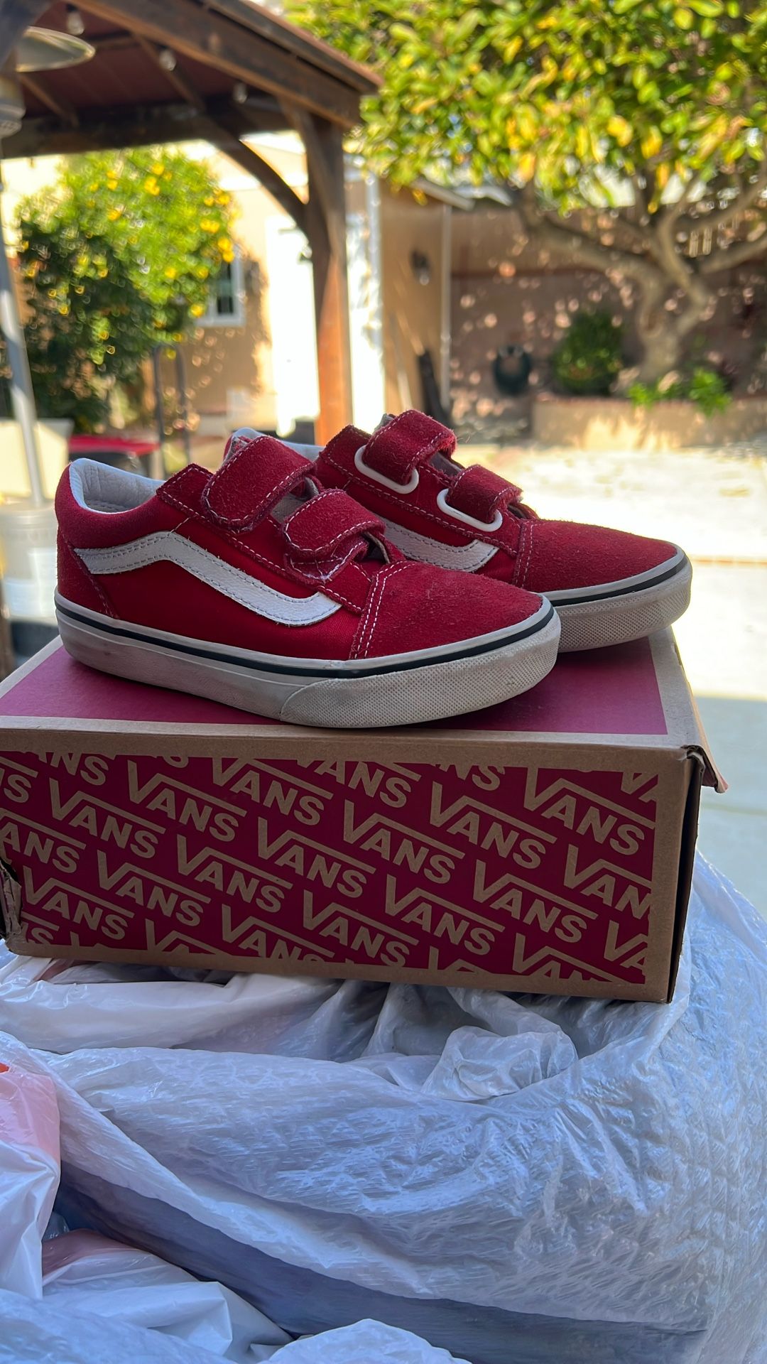 Kids Vans