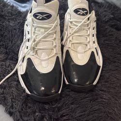 Men’s Size 13 Allen Iverson Shoe