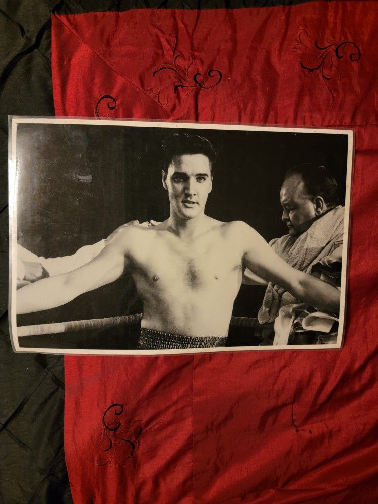 Elvis King Galahad 17.5 X 12 Inch Laminated Glossy Photo