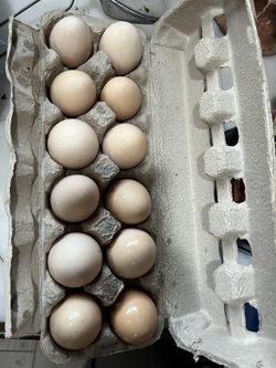 Dozen