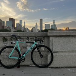 Aventon Mataro Low Pro 