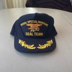 Vintage SnapBack Hat 