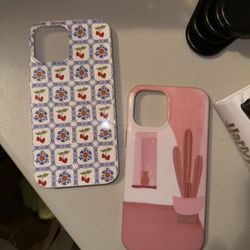 iPhone 11 and 12 Pro Max Cases 