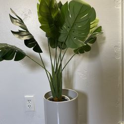 Plant Holder