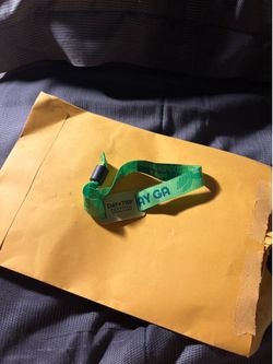 DAYTRIP “2 DAY GA WRISTBAND”