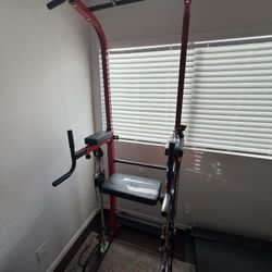 Pull Up Bar and Dip Station, Multi-Function, Weight Assistant Pull Up