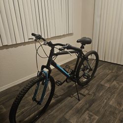 Nishiki Bike 