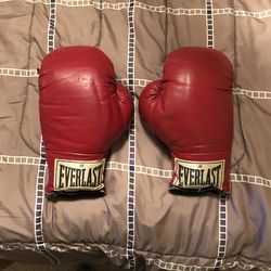 Everlast Boxing Gloves
