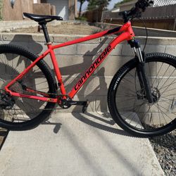 CANNONDALE 29 