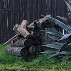 Free Firewood Logs