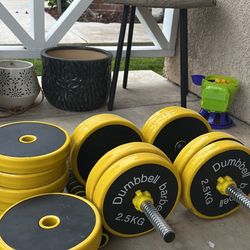 Dumbbells Set