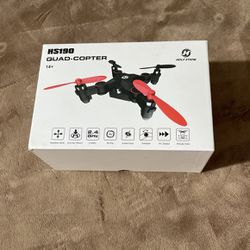 Holy Stone Hs190 Quad Copter