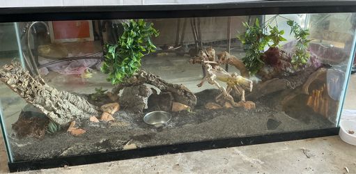 4'×13"x21" BIOACTIVE Reptile Enclosure + 3 Heat Lamps/ MUST BE IN CARROLLTON GA AREA OR WILLING TO DRIVE