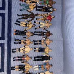WWE Wrestlers.