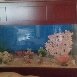 90 gallon Mahogany fish tank, 