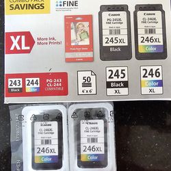 2 color XL Printer Ink. Compatible PG 243 and Cl 244