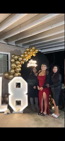 Custom Birthday Balloon Backdrop & Marquee Number Setup