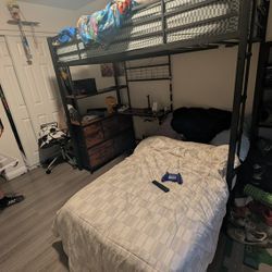 Loft Bed Bunk Bed