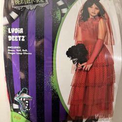 Beetlejuice Lydia Deetz Costume - Child Large (12-14)