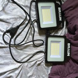 Braun Floodlights