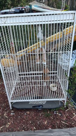 Bird Cage