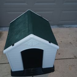 Dog  House 