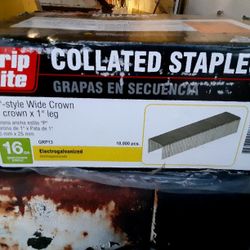 Grip Rite Collated Staples /Brand new Box
