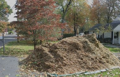 Wood Chips