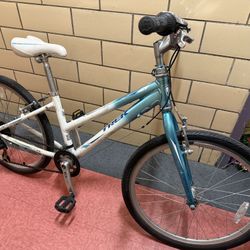 Trek Universal Bike