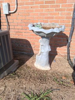 Bird bath