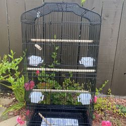 Bird Cage With Feeder Cup