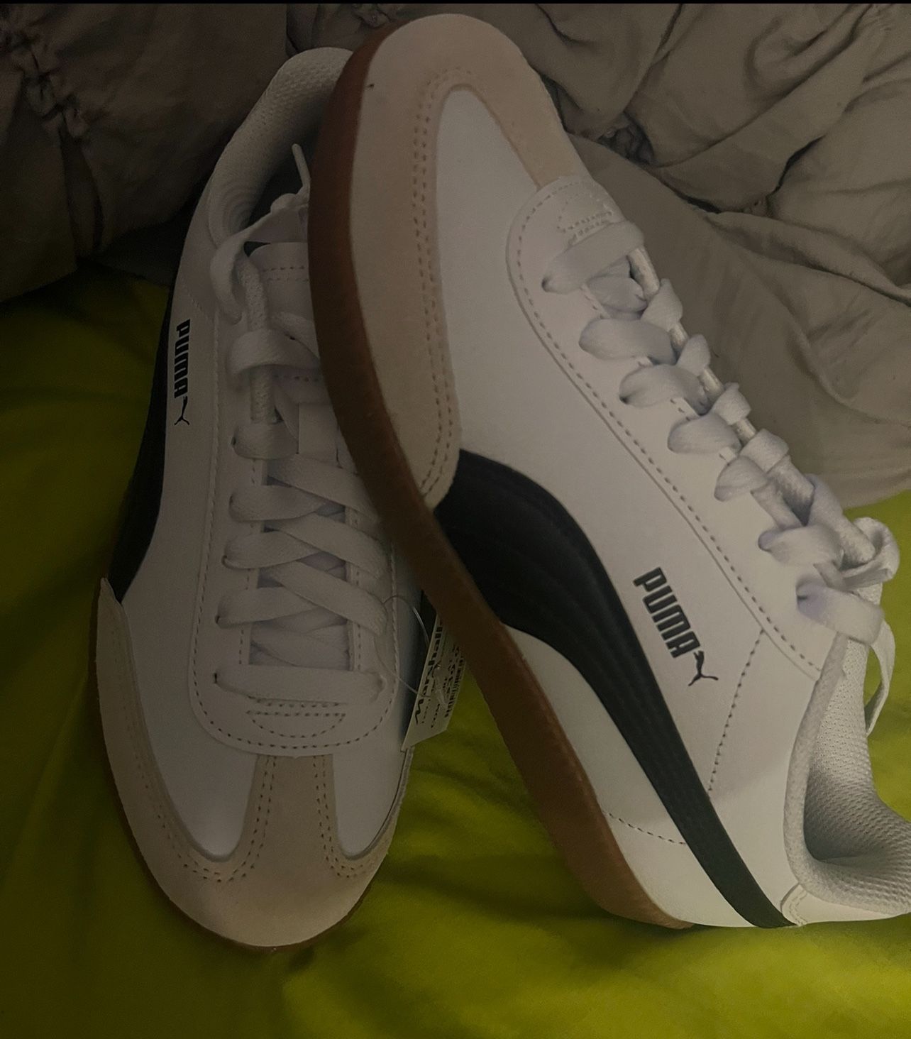 Puma