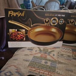 Nonstick 11" Fry Pan  18k