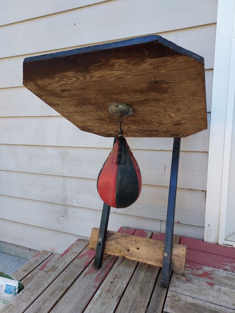 Speed Bag with Wall Mount.