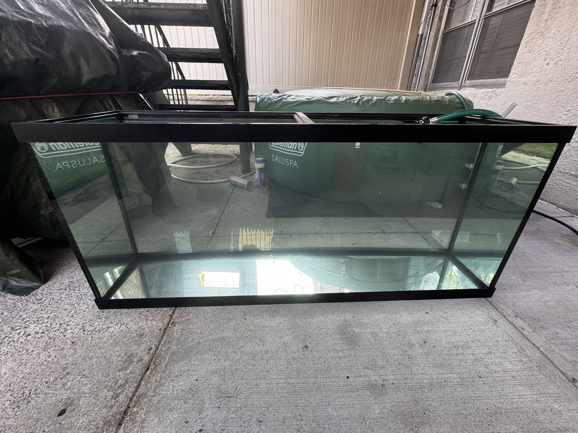 120 Gallon Aquarium Mint