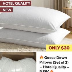 Goose Down Pillows (Set of 2) – Hotel Quality – NEW 🔥