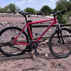 Motobecane 29” Mountain Bike
