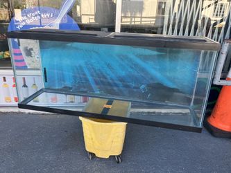 55 Gallon Aquarium + 3 FREE Decorations