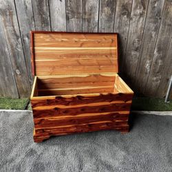 Chest 
