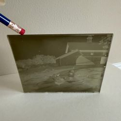 Antique Glass Plate Negative Farm Rural Girl Feeding Chickens NY 1800s 1900s