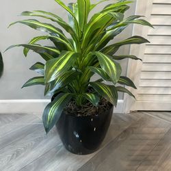 Artificial Plant