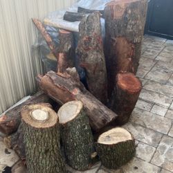 Troncos De Madera