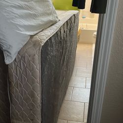 Free King Box Springs 