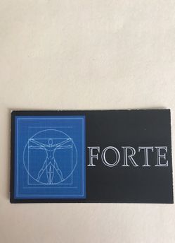 Forte Painters & Gen. Construction