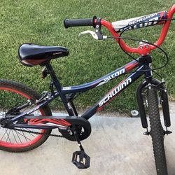 Kids Schwinn Bikes 